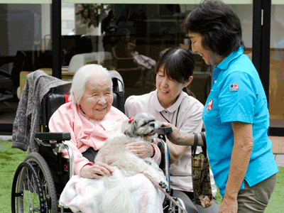 動物介在療法の様子1