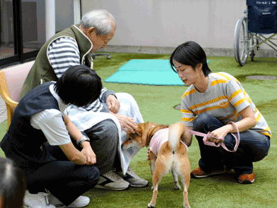 動物介在療法の様子4
